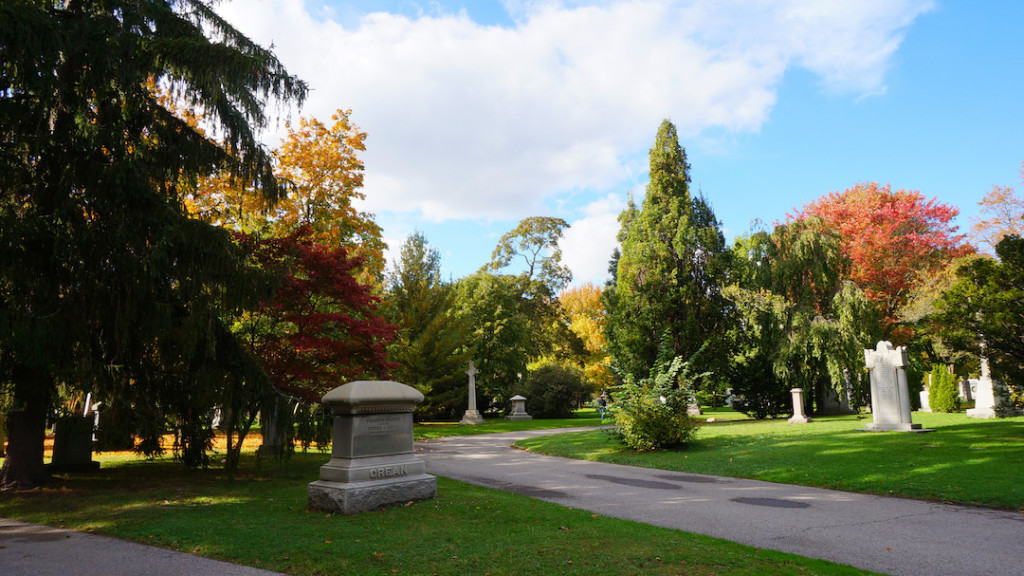 Why I Love Toronto: Top 5 Places to Visit - Days to Come Magazine