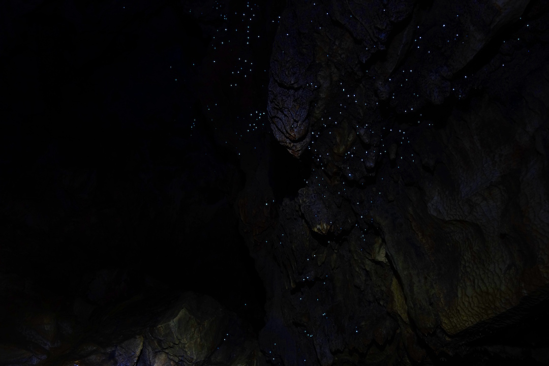 Glowworm Cave in New Zealand