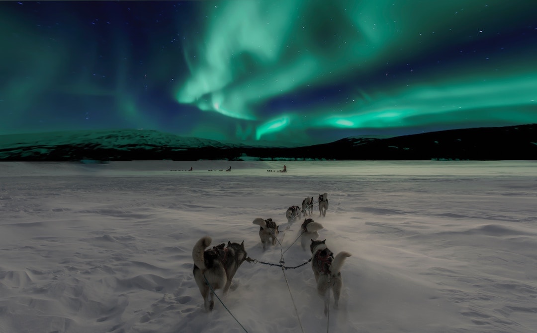 Northern Lights Southern Lights: What the Difference? - to Come