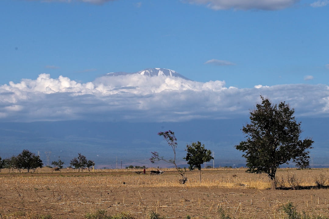 Machame Vs Marangu