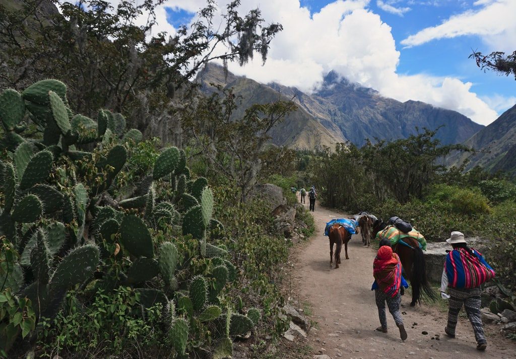 Hikers on the Inca Trail in Peru