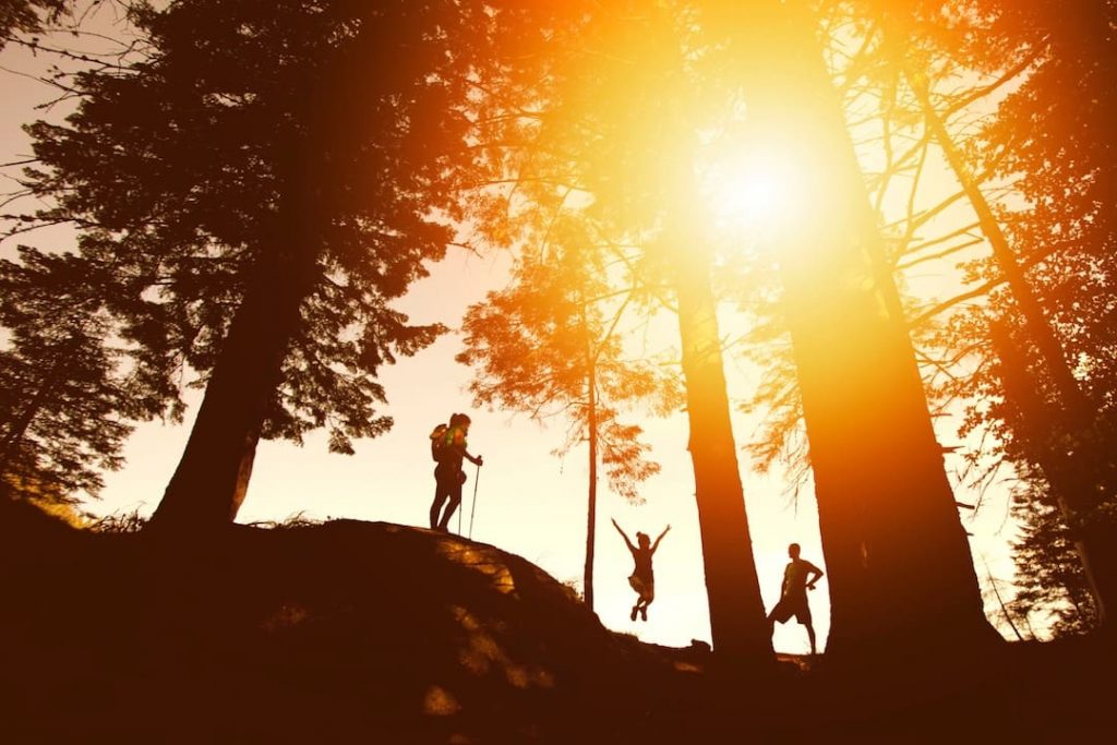 Three people in silhouette surrounded by trees at sunset