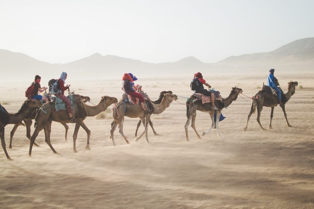 A group of camel riders in the Sahara Desert, Morocco