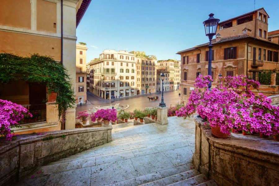 Blooming flowers on the Spanish Steps, Rome