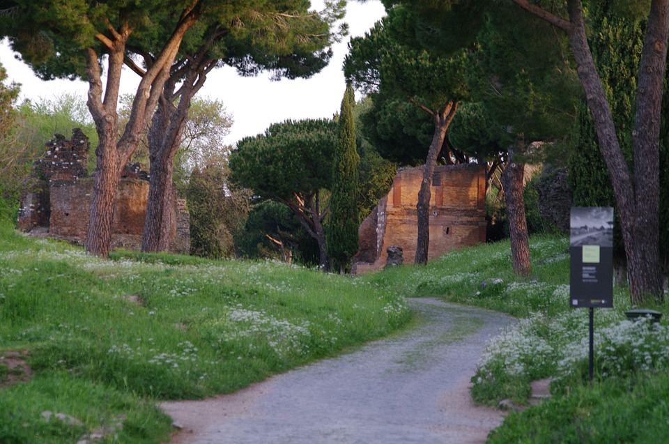 a road winding through grass and surrounded by trees