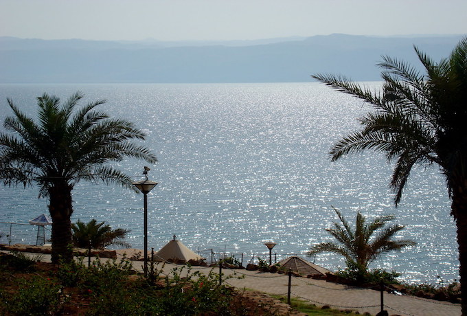 Palmtrees and a boardwalk on the dead sea in jordan