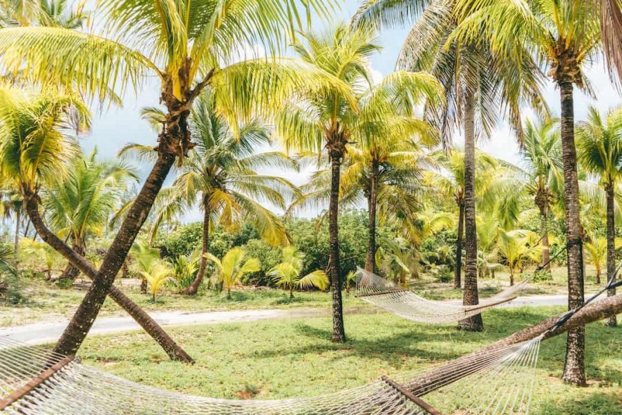 how-to-use-vacation-days-10-ways-to-travel-more-with-a-9-5-job-days