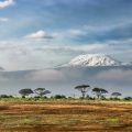 Mount Kilimanjaro