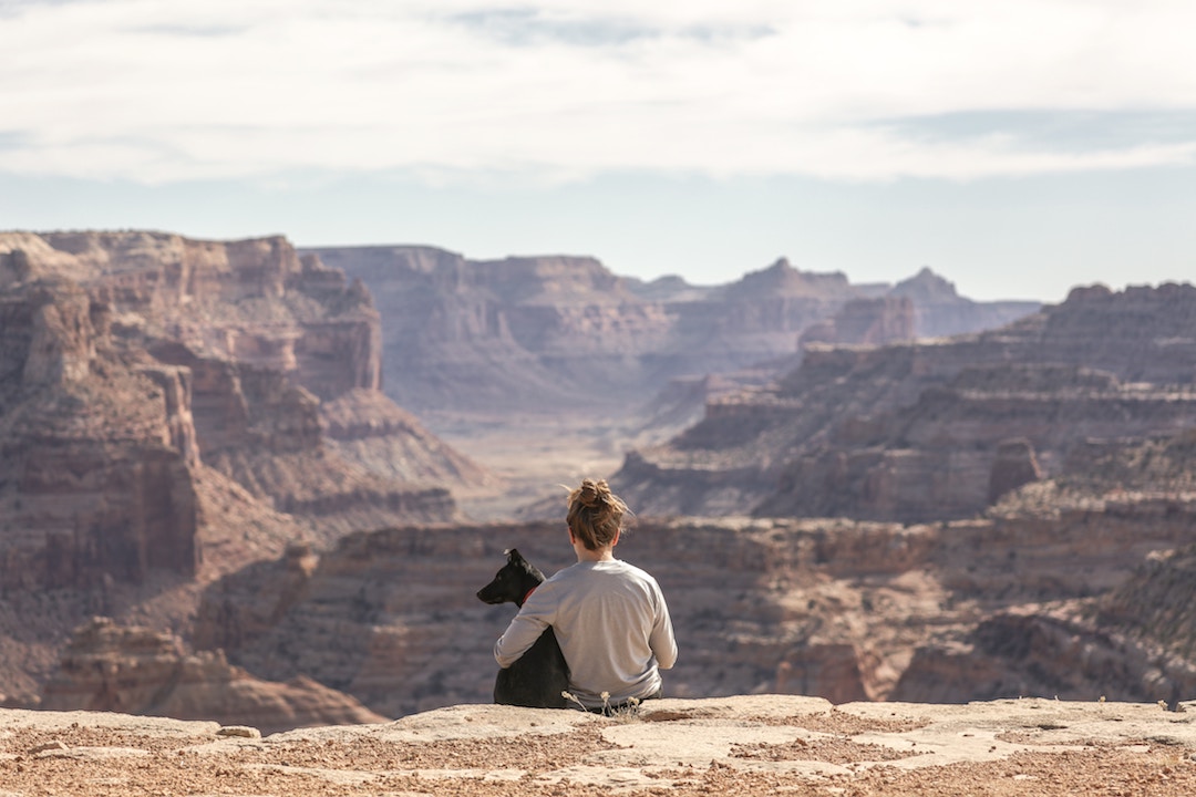A woman and her dog looking out onto the grand canyon
