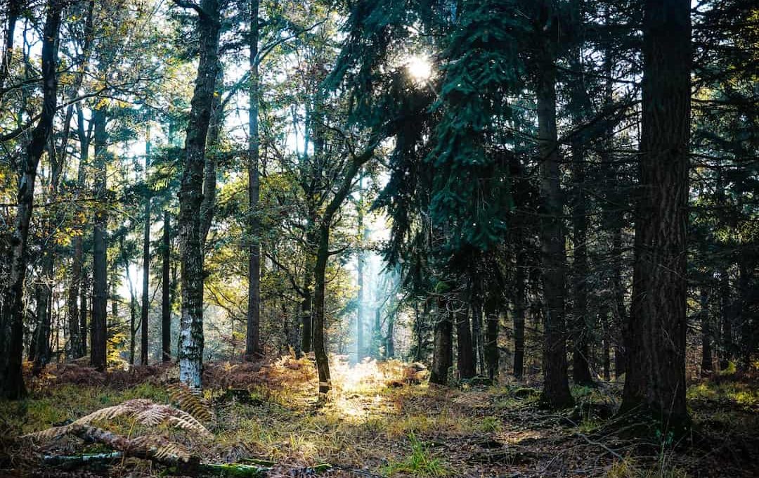 The Best Places to go in Europe for Nature (Updated 2022)