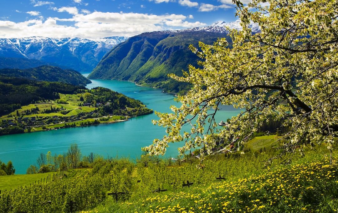 Best Ways to See Norway's Fjords (Updated 2022)