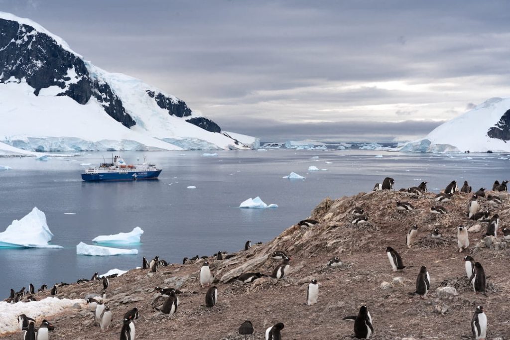 Cruise ship in Antarctica surrounded by penguins and snow-capped mountains