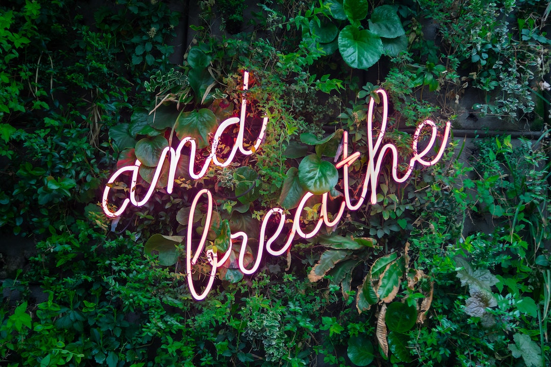 Neon sign that says and breathe on a wall with plants