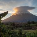a volcano surrounded by greenery and a cloud