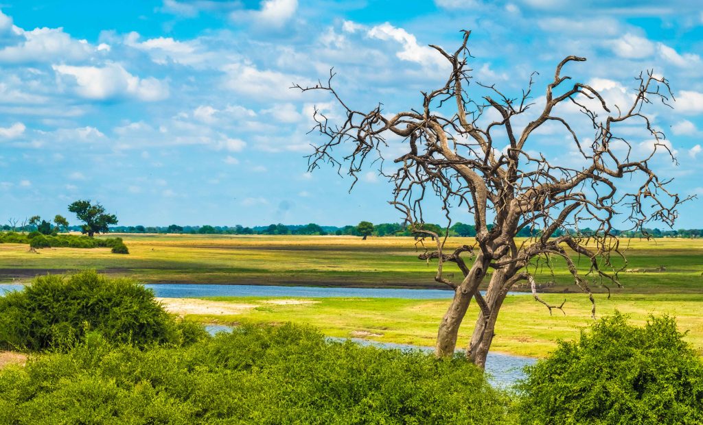 biggest safari in the world