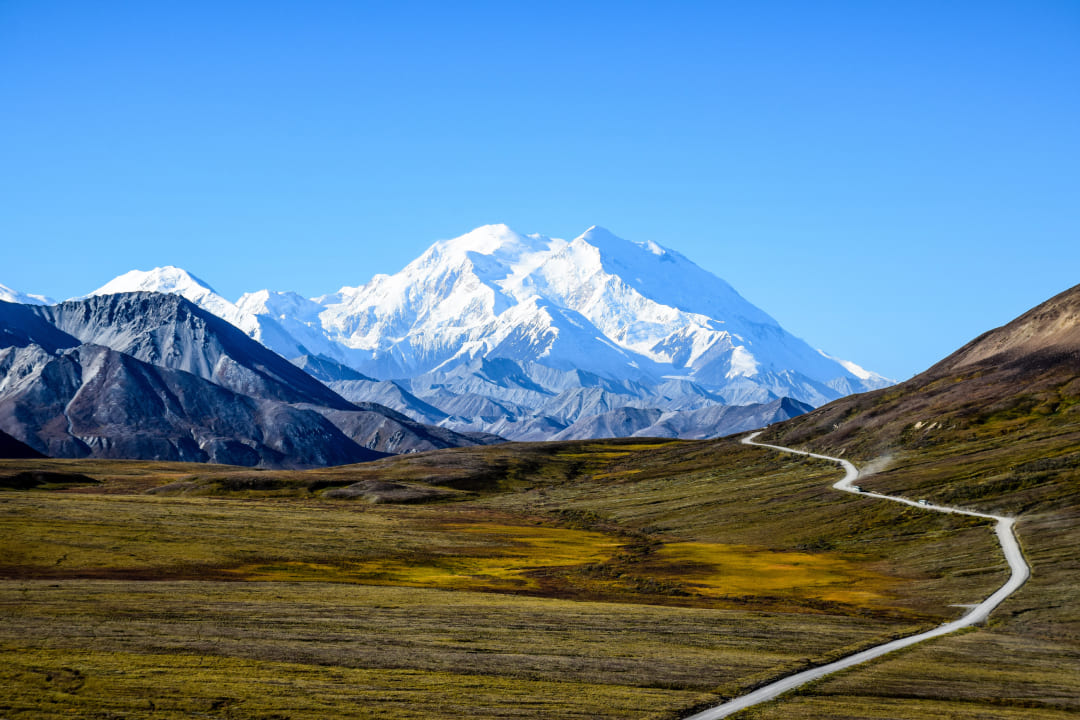 denali-national-park